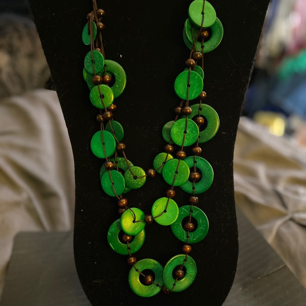 3 for 10$Paparazzi green/brown necklace & earrings